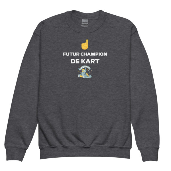 Sweat enfant Future Champion de Kart – Plusieurs couleurs disponibles – Image 13