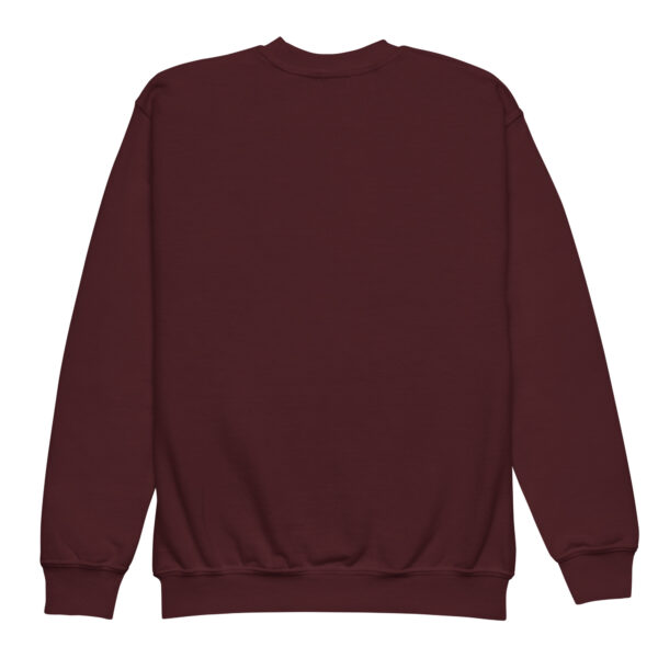Sweat enfant Future Champion de Kart – Plusieurs couleurs disponibles – Image 10
