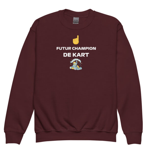Sweat enfant Future Champion de Kart – Plusieurs couleurs disponibles – Image 9
