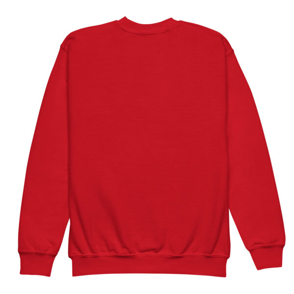 Sweat enfant Future Champion de Kart – Plusieurs couleurs disponibles – Image 12