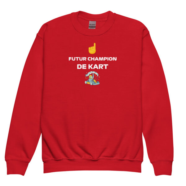 Sweat enfant Future Champion de Kart – Plusieurs couleurs disponibles – Image 11